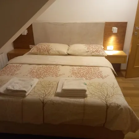 Vila Borova Apartman 501 Apartment *