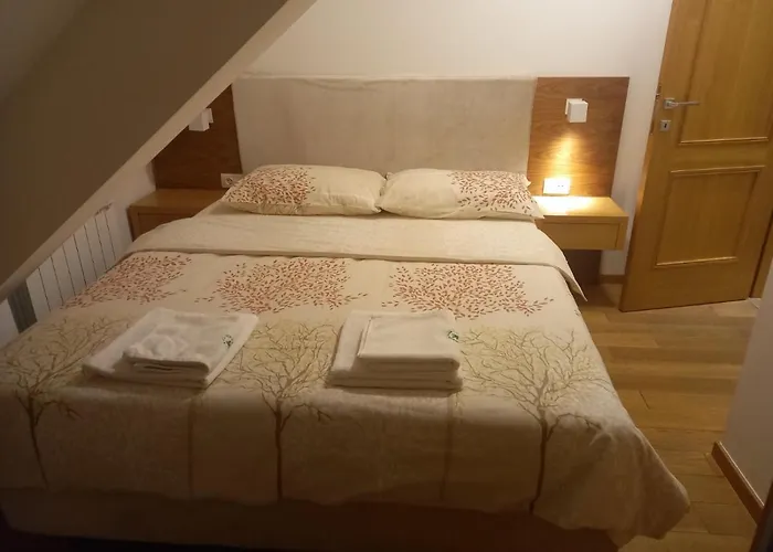 Borova 501 Apartman *